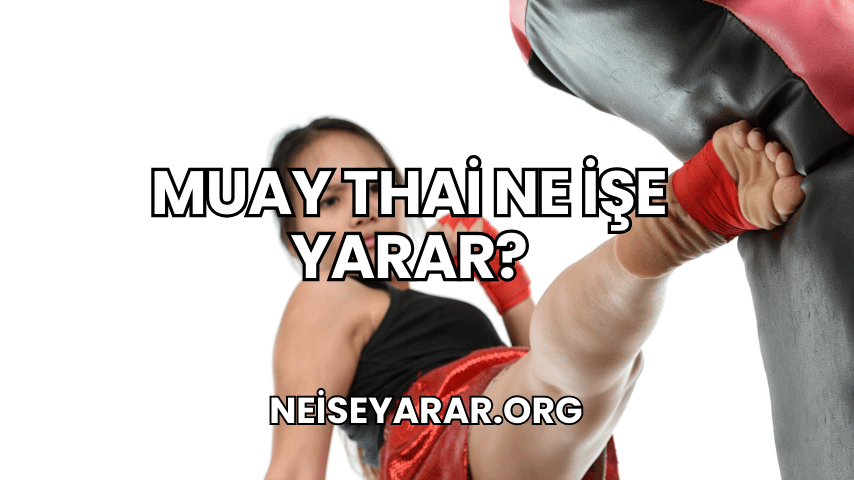 Muay Thai Ne İşe Yarar