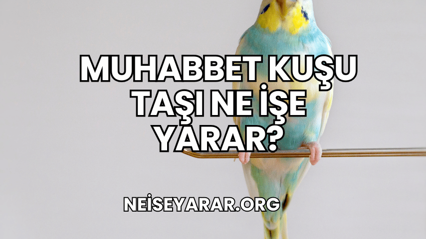 Muhabbet Kuşu Taşı Ne İşe Yarar?