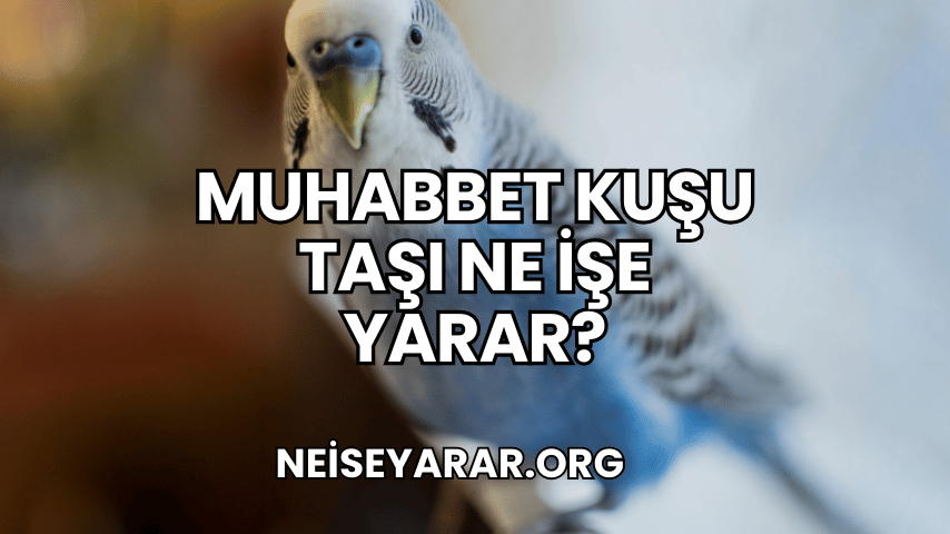 Muhabbet Kuşu Taşı Ne İşe Yarar?