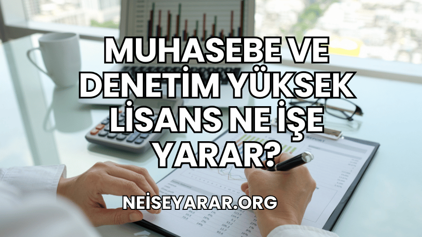 Muhasebe ve Denetim Yüksek Lisans Ne İşe Yarar?