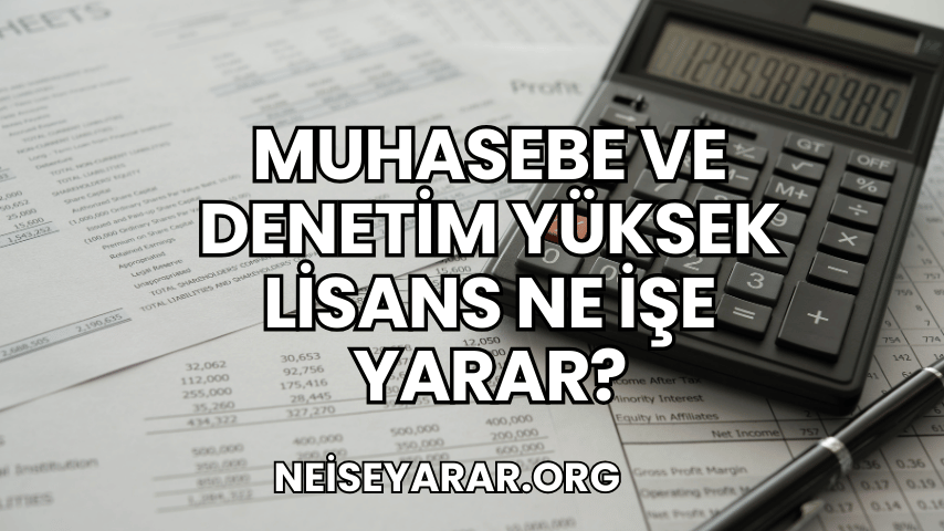 Muhasebe ve Denetim Yüksek Lisans Ne İşe Yarar?