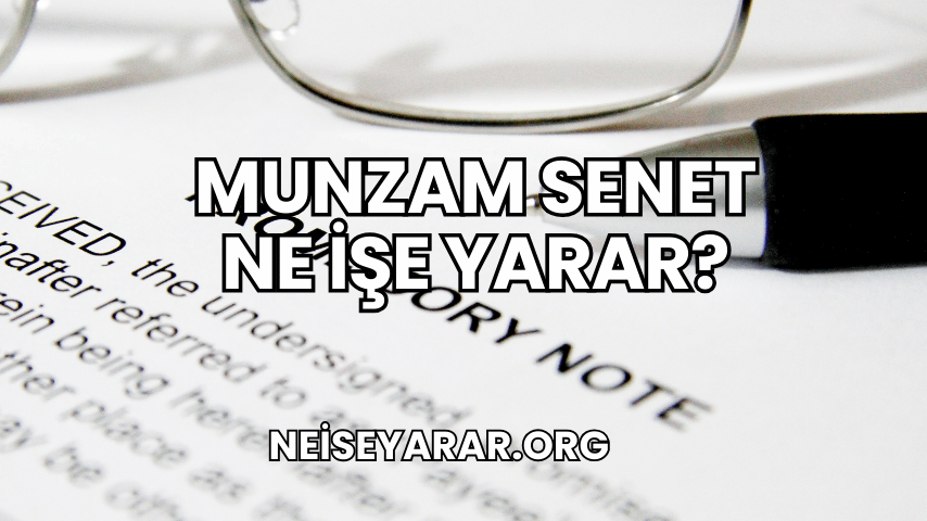 Munzam Senet Ne İşe Yarar?