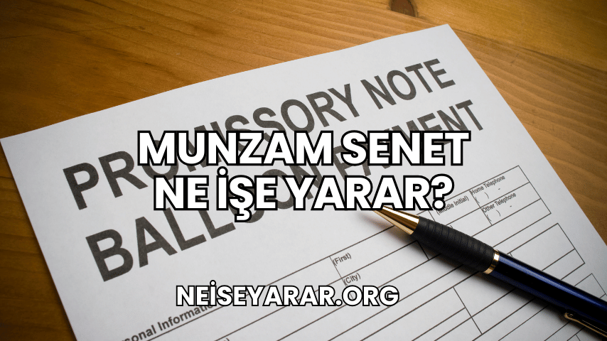 Munzam Senet Ne İşe Yarar?