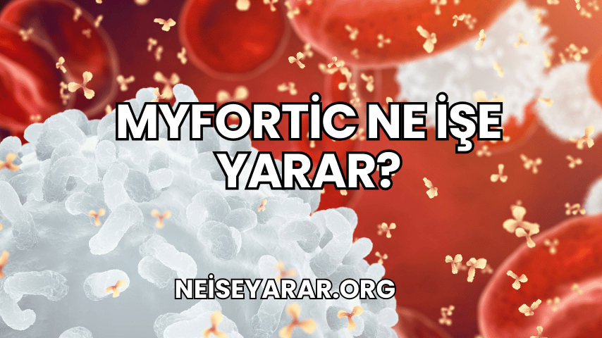 Myfortic Ne İşe Yarar