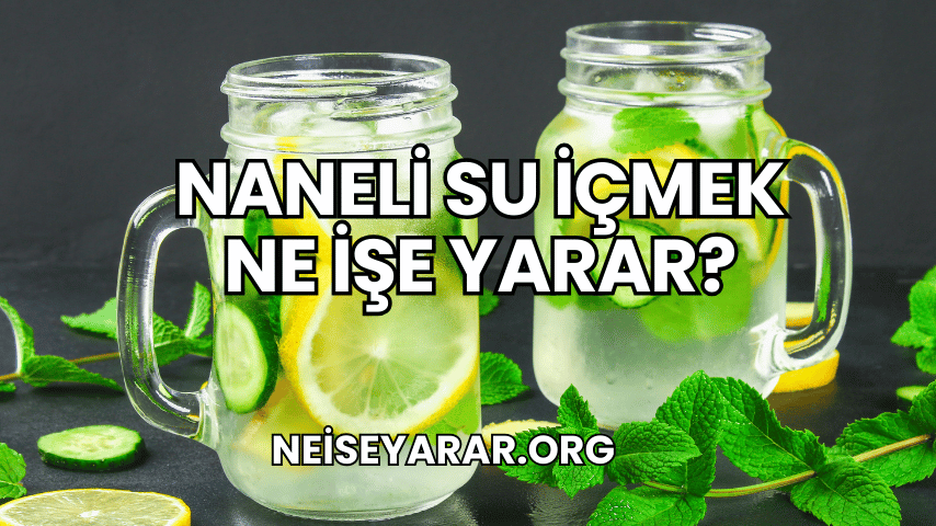 Naneli Su İçmek Ne İşe Yarar?