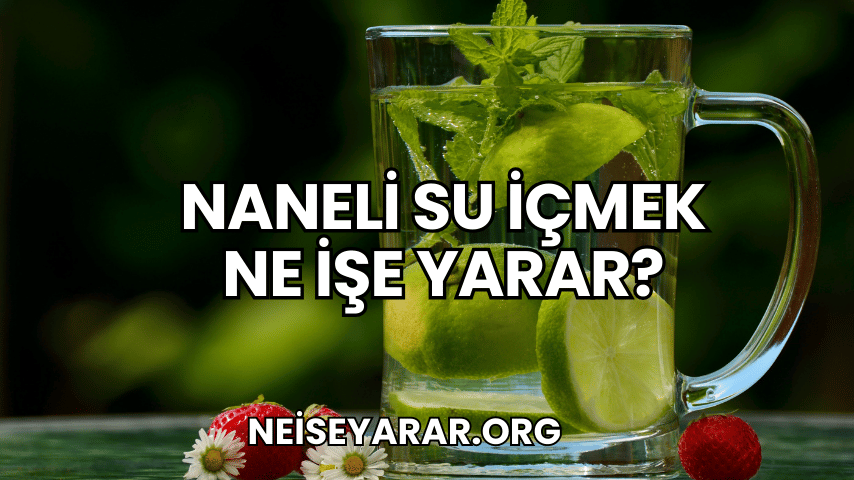 Naneli Su İçmek Ne İşe Yarar?