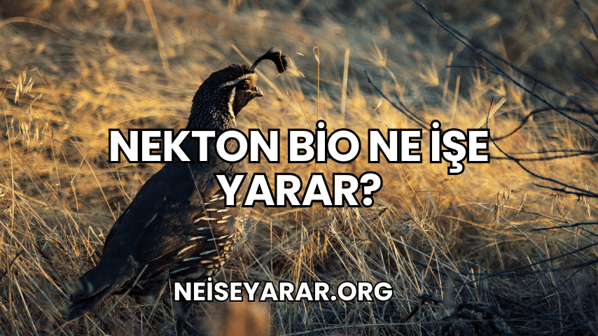 Nekton Bio Ne İşe Yarar?