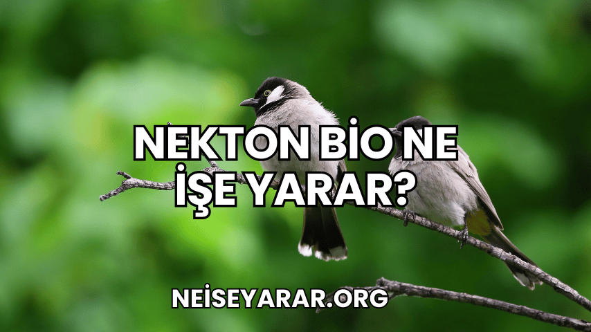 Nekton Bio Ne İşe Yarar?