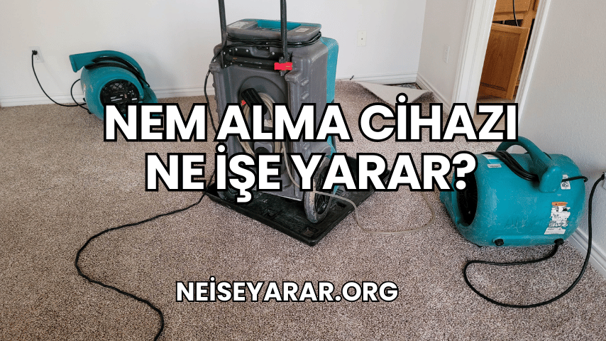 Nem Alma Cihazı Ne İşe Yarar 