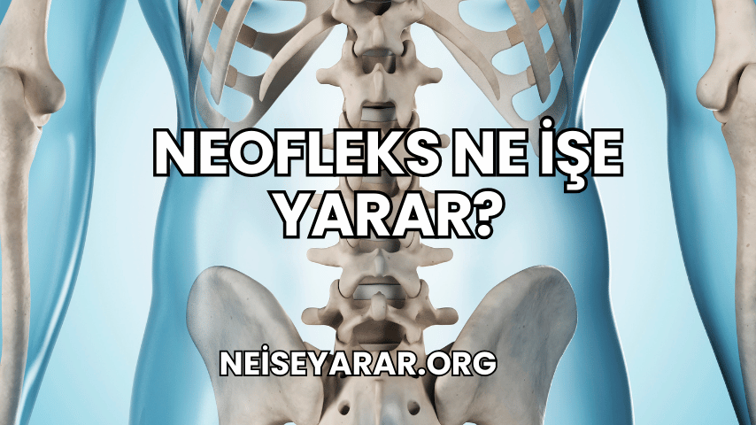 Neofleks Ne İşe Yarar?