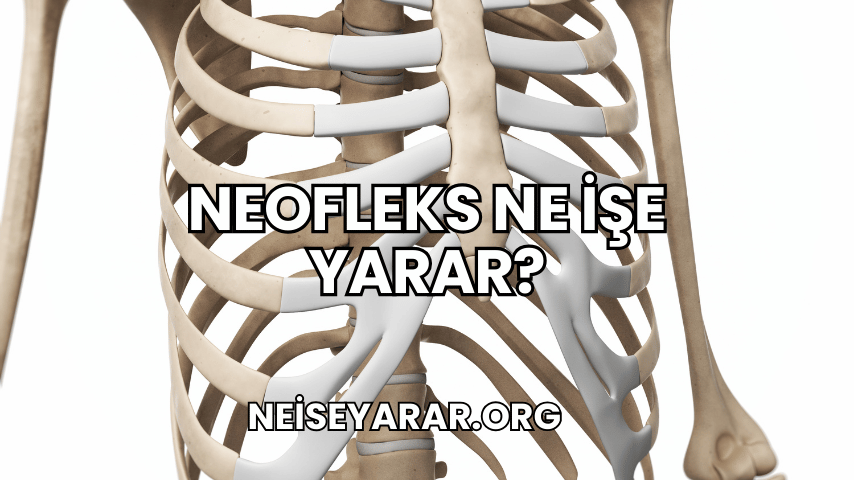 Neofleks Ne İşe Yarar?