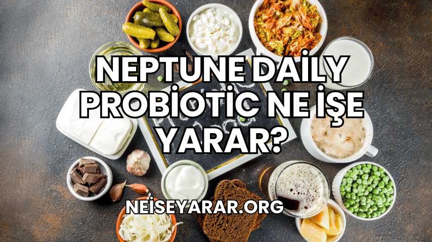 Neptune Daily Probiotic Ne İşe Yarar?