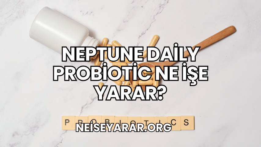 Neptune Daily Probiotic Ne İşe Yarar?