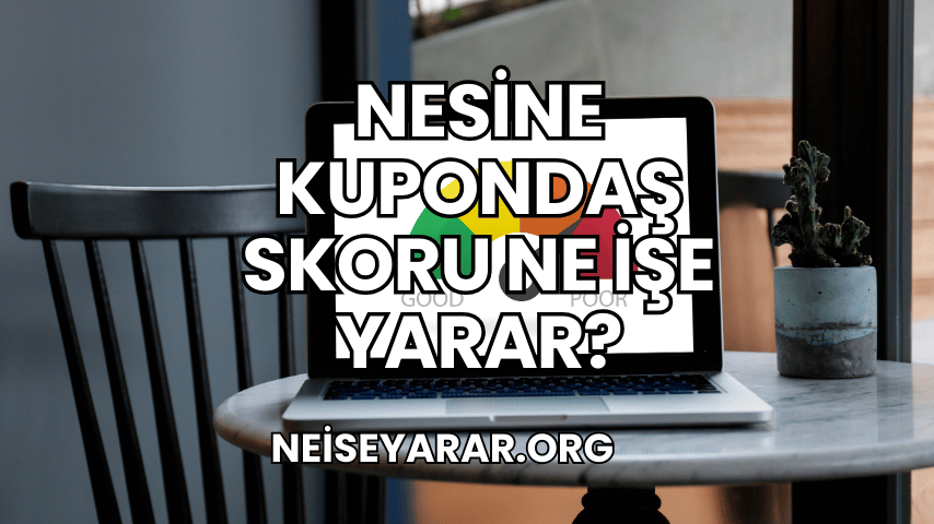 Nesine Kupondaş Skoru Ne İşe Yarar?