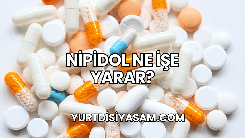 Nipidol Ne İşe Yarar?