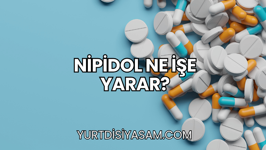 Nipidol Ne İşe Yarar?