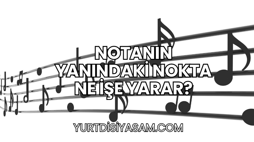 Notanın Yanındaki Nokta Ne İşe Yarar?