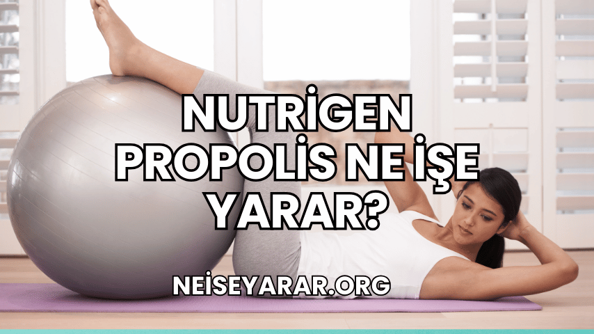 Nutrigen Propolis Ne İşe Yarar?