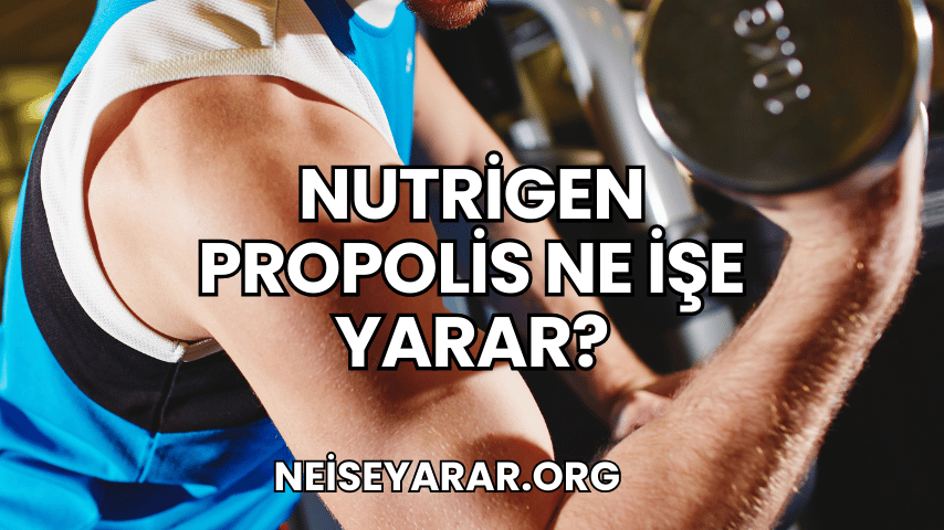 Nutrigen Propolis Ne İşe Yarar?