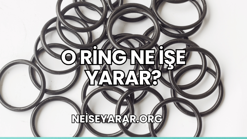 O Ring Ne İşe Yarar?