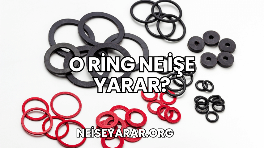 O Ring Ne İşe Yarar?