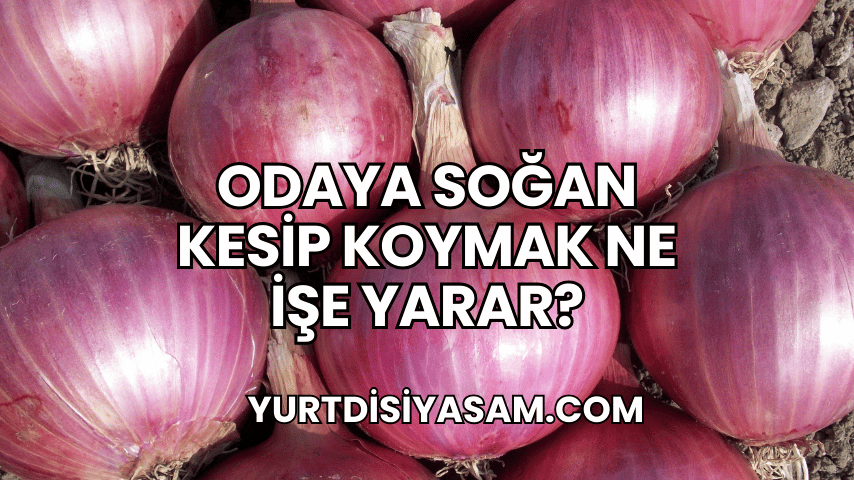 Odaya Soğan Kesip Koymak Ne İşe Yarar?