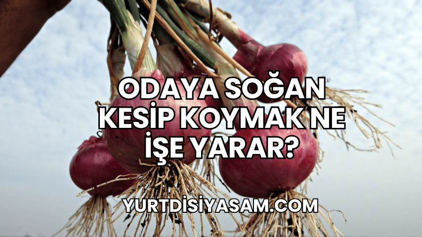 Odaya Soğan Kesip Koymak Ne İşe Yarar?