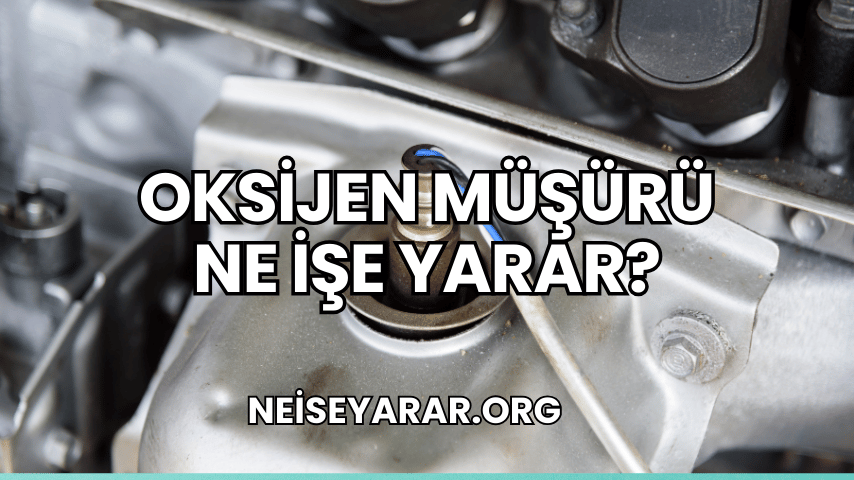 Oksijen Müşürü Ne İşe Yarar?