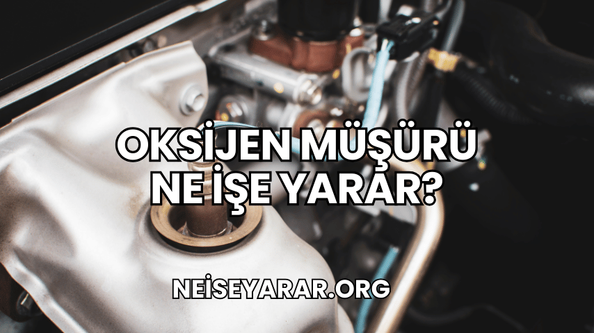 Oksijen Müşürü Ne İşe Yarar?