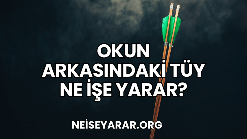 Okun Arkasındaki Tüy Ne İşe Yarar?