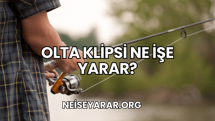 Olta Klipsi Ne İşe Yarar?