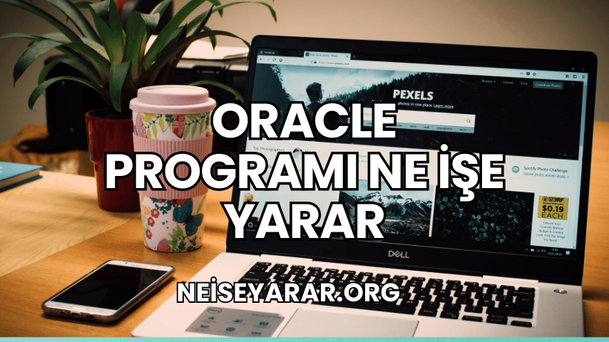 Oracle Programı Ne İşe Yarar