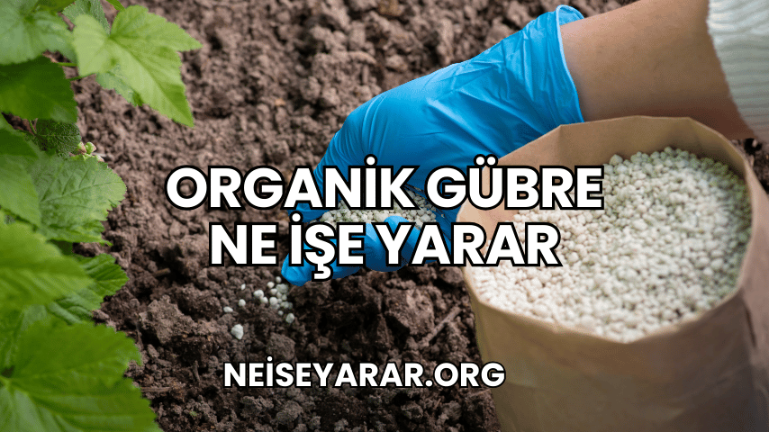 Organik Gübre Ne İşe Yarar