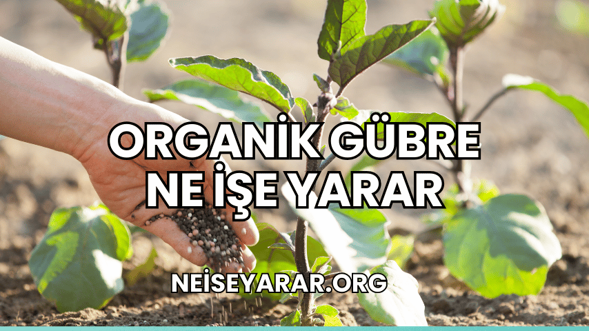 Organik Gübre Ne İşe Yarar