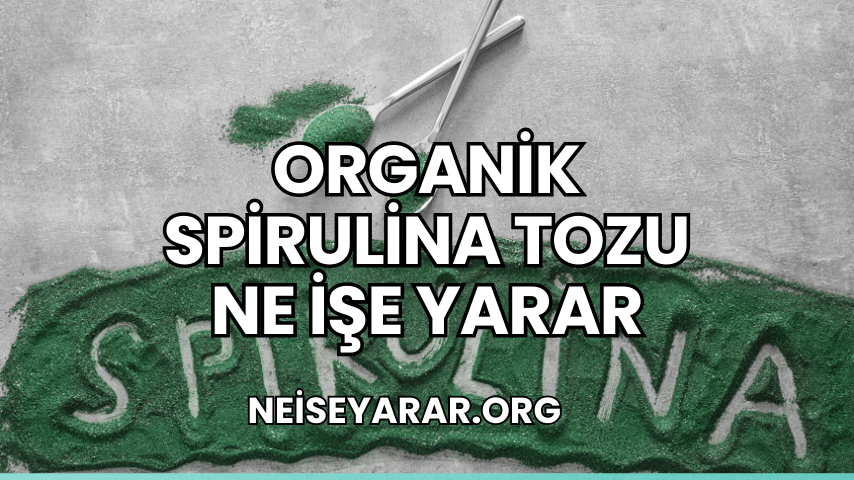 Organik Spirulina Tozu Ne İşe Yarar