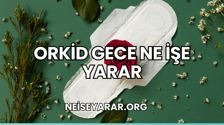 Orkid Gece Ne İşe Yarar