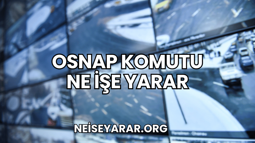 Osnap Komutu Ne İşe Yarar