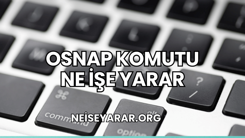 Osnap Komutu Ne İşe Yarar