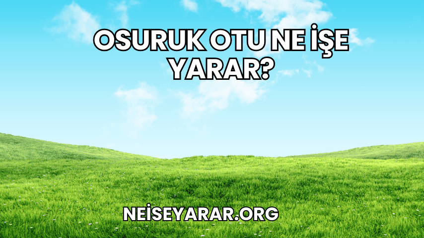 Osuruk Otu Ne İşe Yarar?