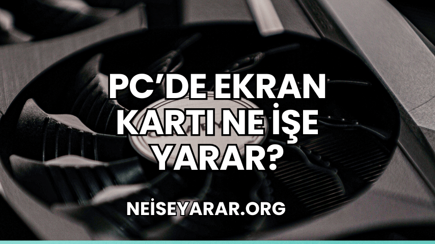 PC'de Ekran Kartı Ne İşe Yarar?