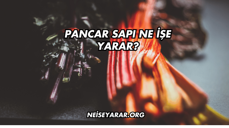 Pancar Sapı Ne İşe Yarar?