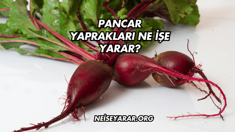 Pancar Yaprakları Ne İşe Yarar?