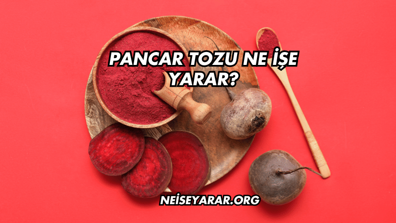 Pancar Tozu Ne İşe Yarar?