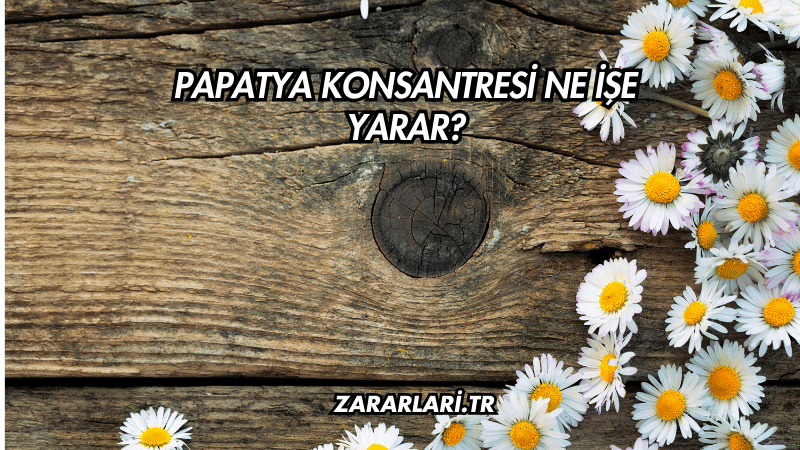 Papatya Konsantresi Ne İşe Yarar?