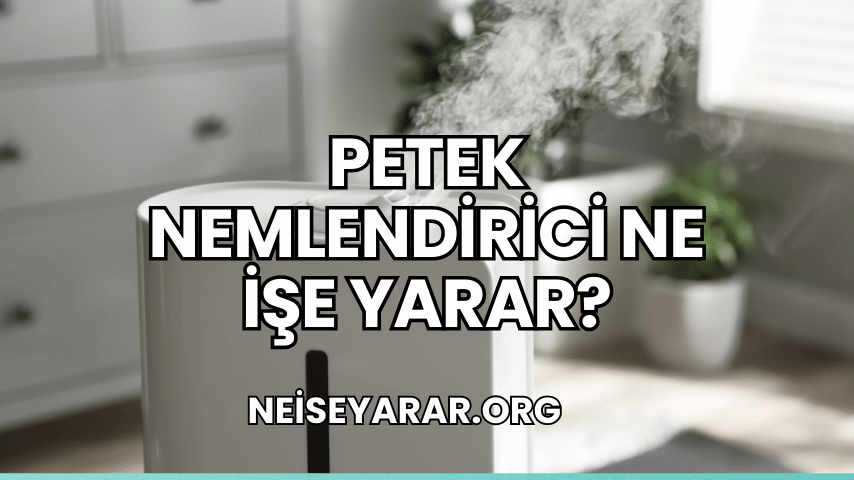 Petek Nemlendirici Ne İşe Yarar?