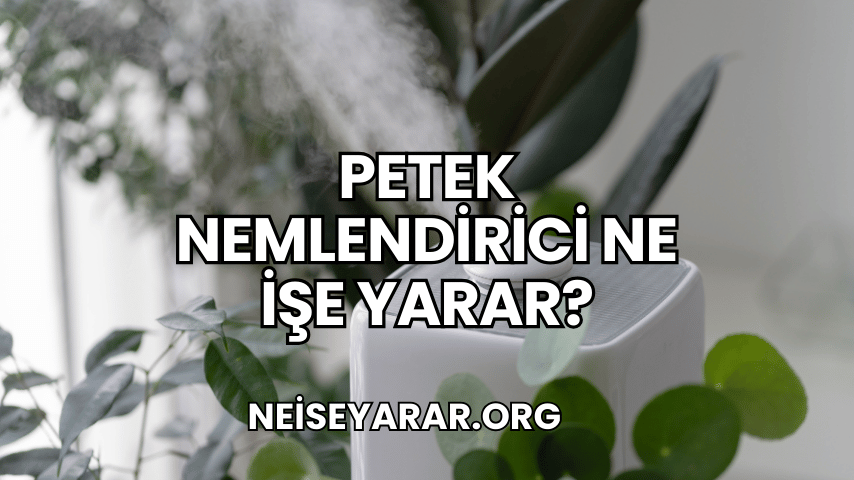 Petek Nemlendirici Ne İşe Yarar?