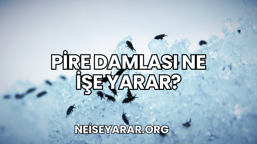 Pire Damlası Ne İşe Yarar?