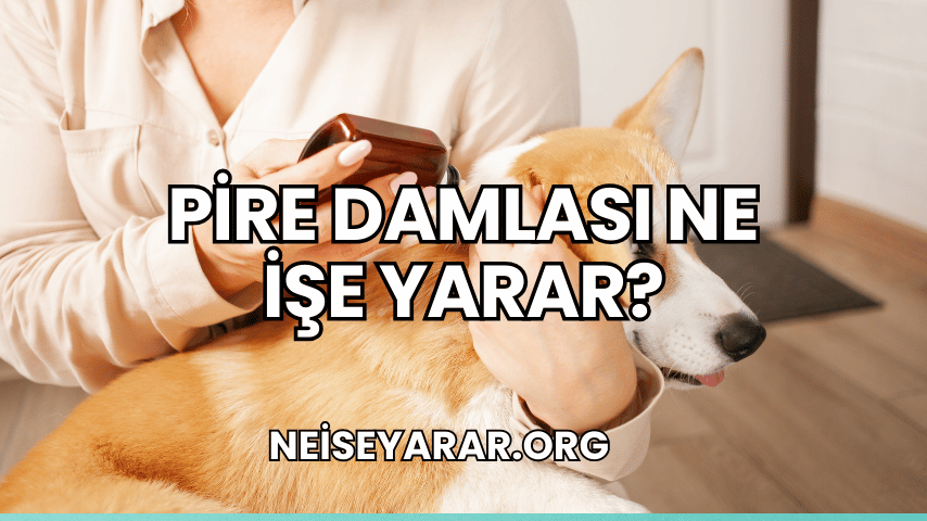 Pire Damlası Ne İşe Yarar?