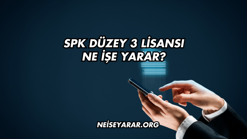 SPK Düzey 3 Lisansı Ne İşe Yarar?