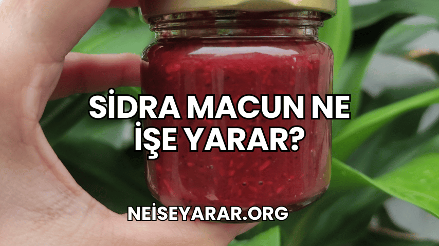 Sidra Macun Ne İşe Yarar?